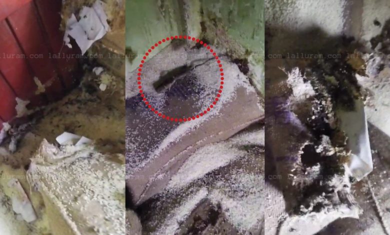 There are insects and dead rats in the rice of the poor, it is being supplied from the government ration shop.